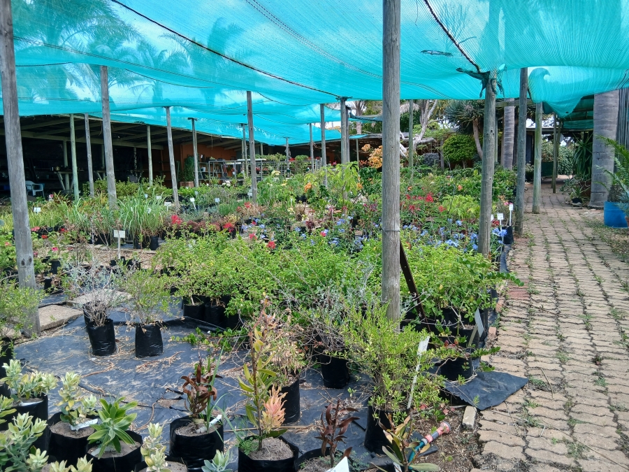 Commercial Property for Sale in C Place Eastern Cape